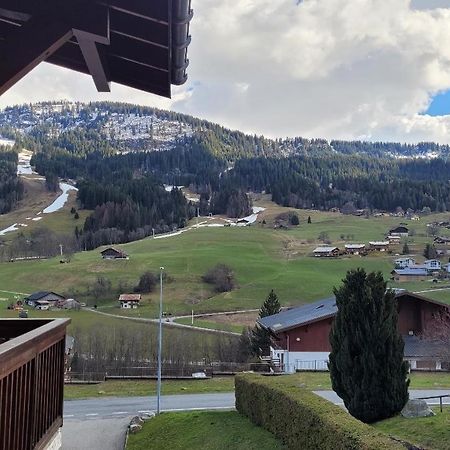 Appartement 1 Chambre Avec Garage Praz-sur-Arly Eksteriør billede