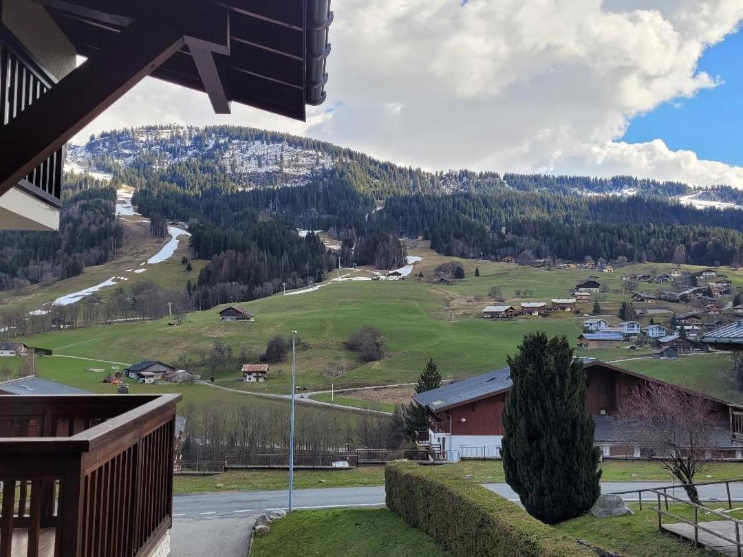 Appartement 1 Chambre Avec Garage Praz-sur-Arly Eksteriør billede